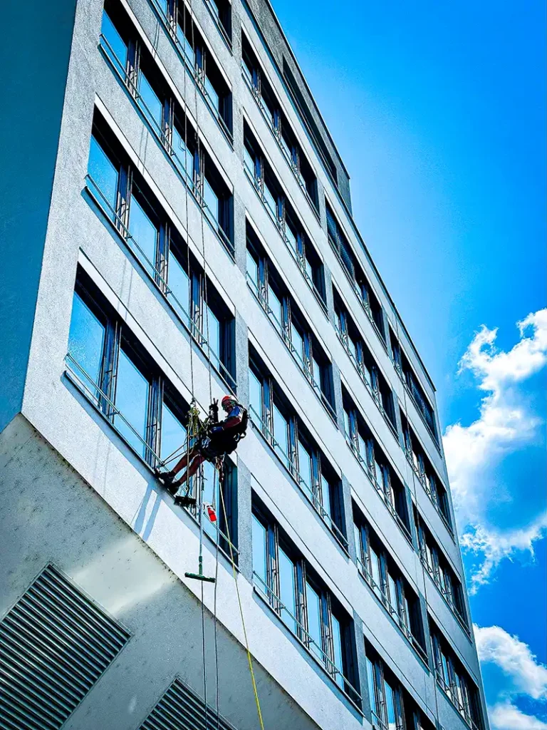 Fensterreinigung vom Profi